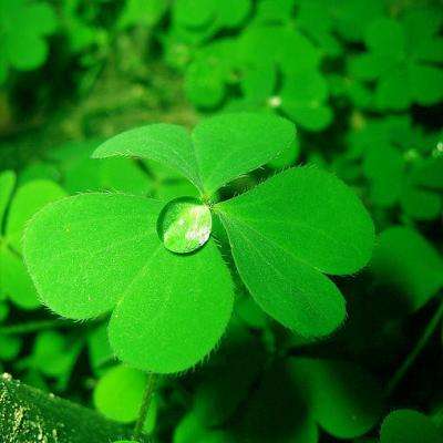 上证580ETF华夏（530530）涨2.34%，成交额342.97万元